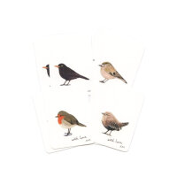 Set Minikarten Vögel