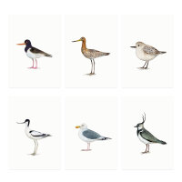 Set Minikarten Wiesen- & Wattvögel