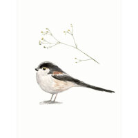 Set Minikarten Vögel & Blumen